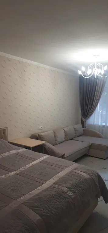 Уютная 1-комнатная квартира в центре посёлка после ремонта