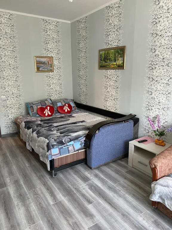 Большая уютная квартира-распашонка — аренда посуточно в Псков