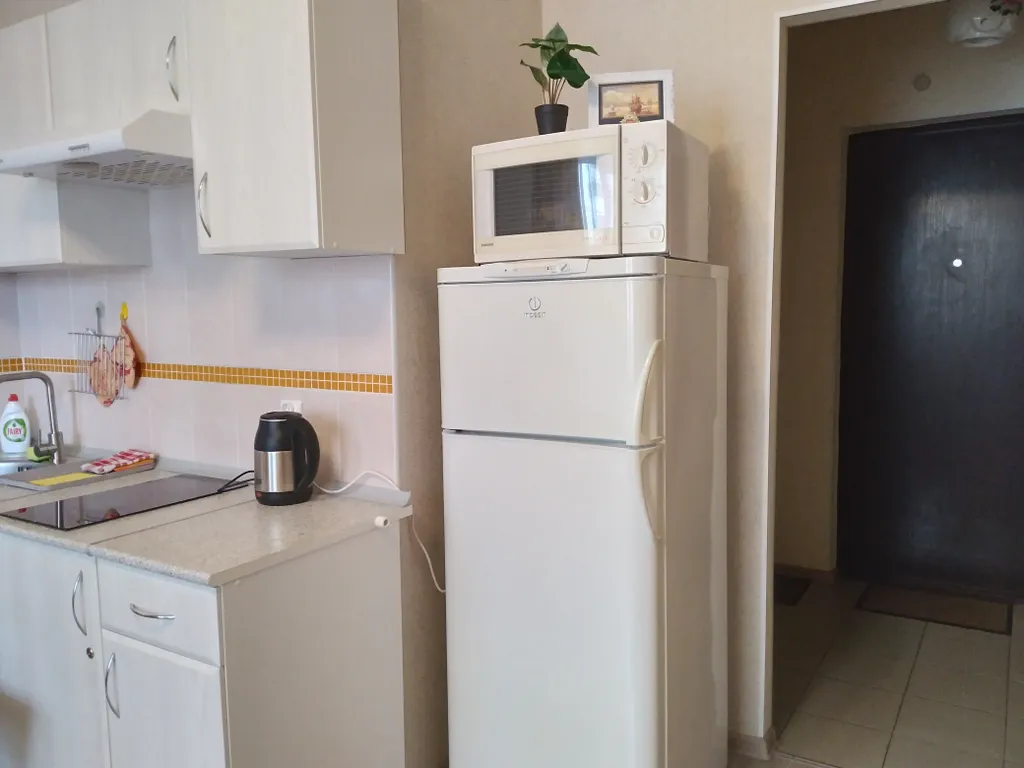 Студия у метро Девяткино