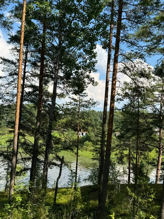 Мансардный этаж в доме на самом берегу Ладоги в сосновом лесу.