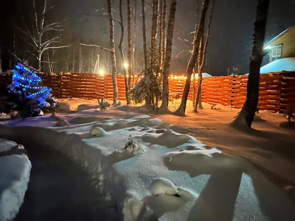 Семейный улей