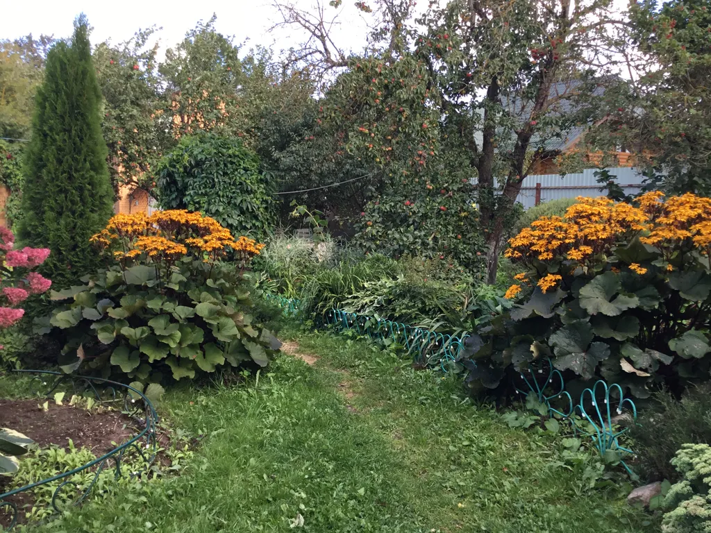 Коттедж Гостевой дом на Истринском водохранилище — Лопотово