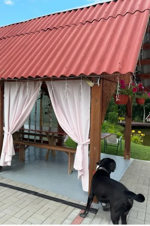 Агроусадьба с баней, на реке Птичь под Минском, с прудом