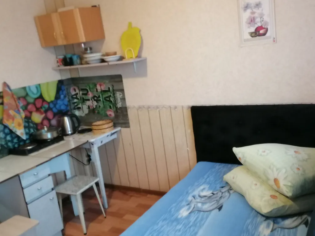 Уютная студия на Предмостной площади