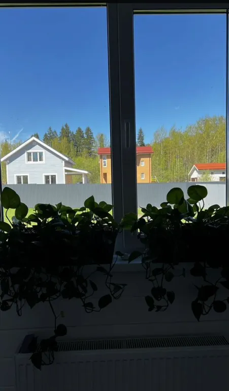 Домик с сауной у леса