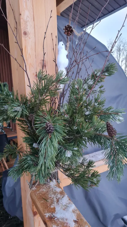 Дом у озера