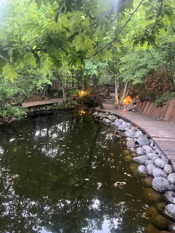 Деревянный дом с приватной территорией