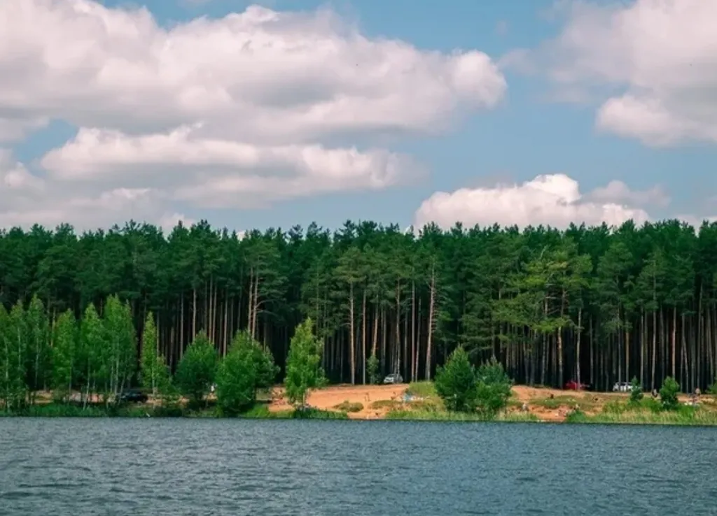 Квартира Уютная домашняя квартира — Ярославль