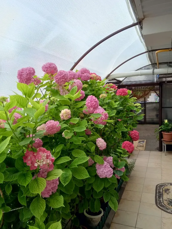 Коттедж Коттедж Бюджетный Таунхаус в Сочи, где всё для вас и вашего отдыха — Головинка