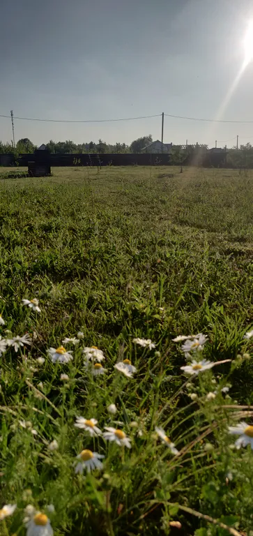 Коттедж Вилла Ла Акула, тихое место у моря с автомобилем — Зеленоградск