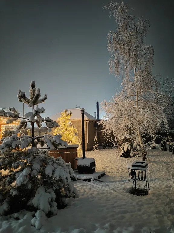 Деревянный уютный дом