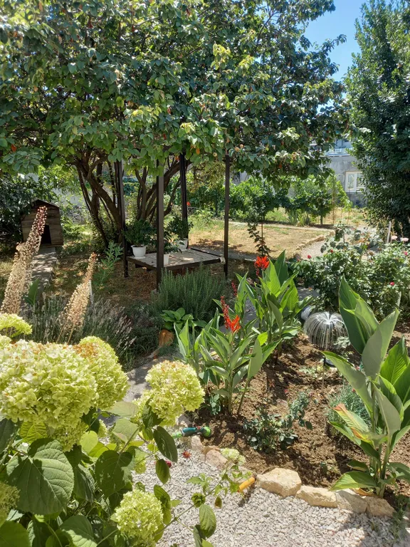 Дом старого художника в Севастополе