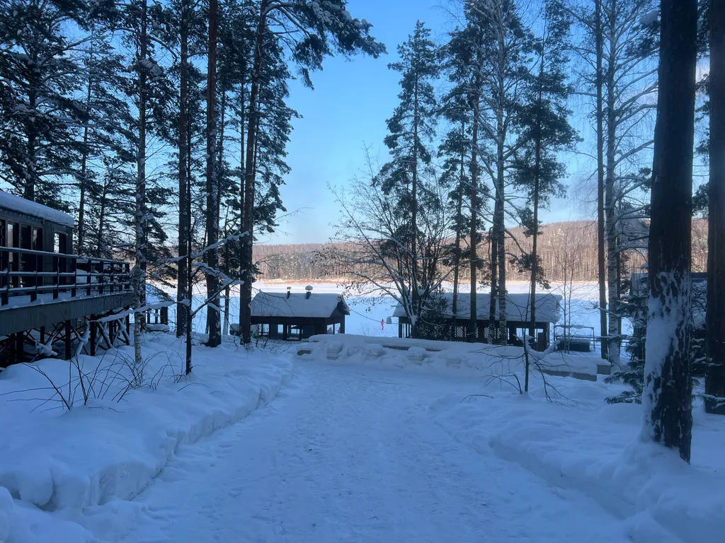 Дом 7 в лесу у реки