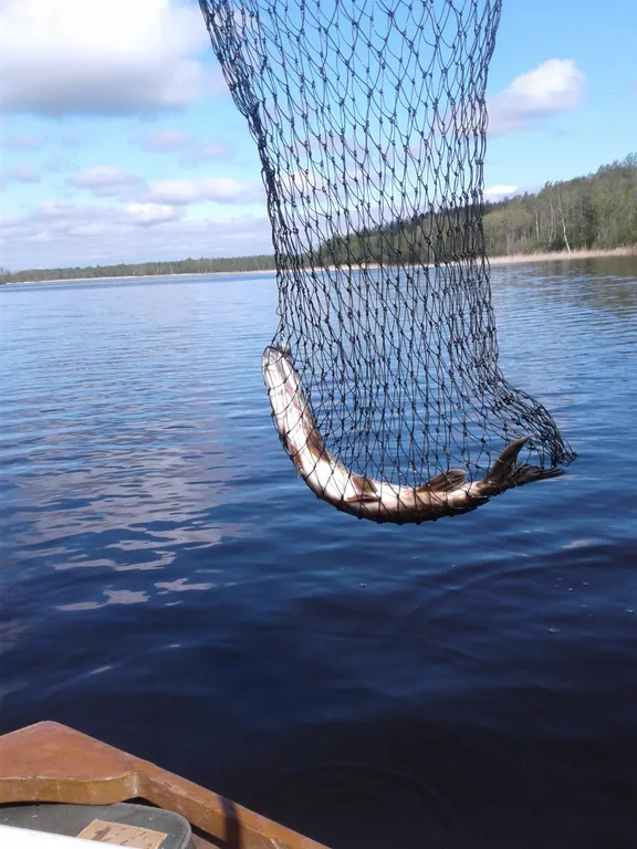 Дом на берегу Красного озера