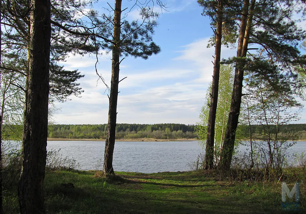 Коттедж Уютный дом — аренда посуточно в Сысерть