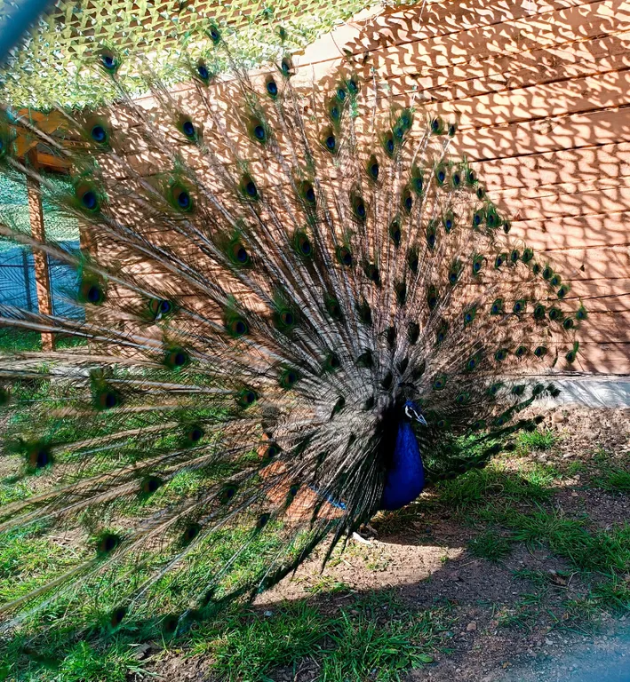 Гостевой дом счастье любит тишину