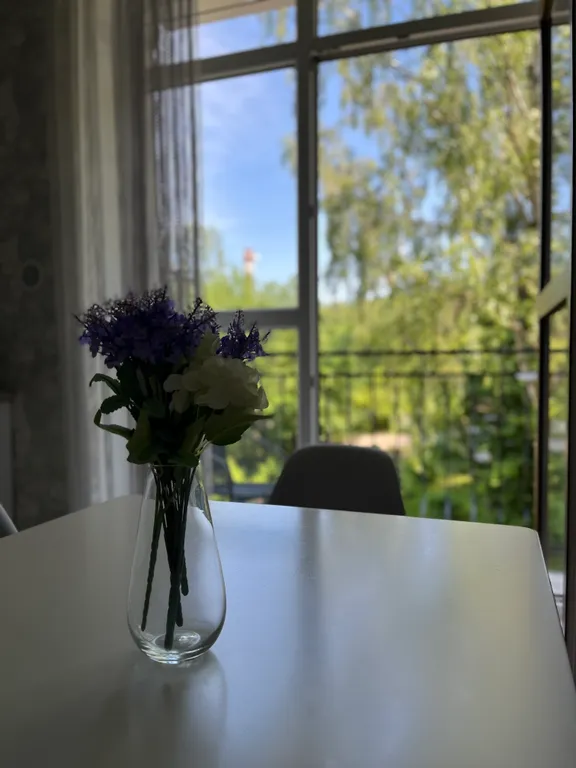 Квартира Уютная квартира у моря — Светлогорск