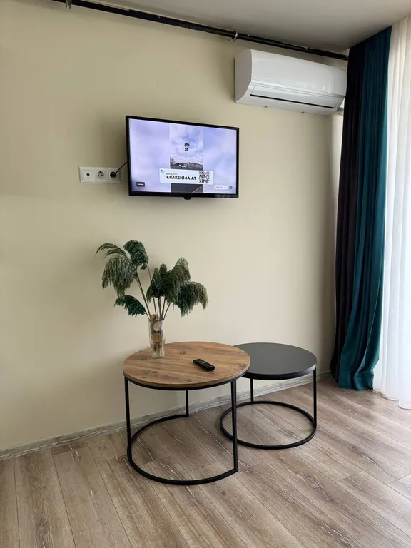 Видовая 1+1 прямо у Соли