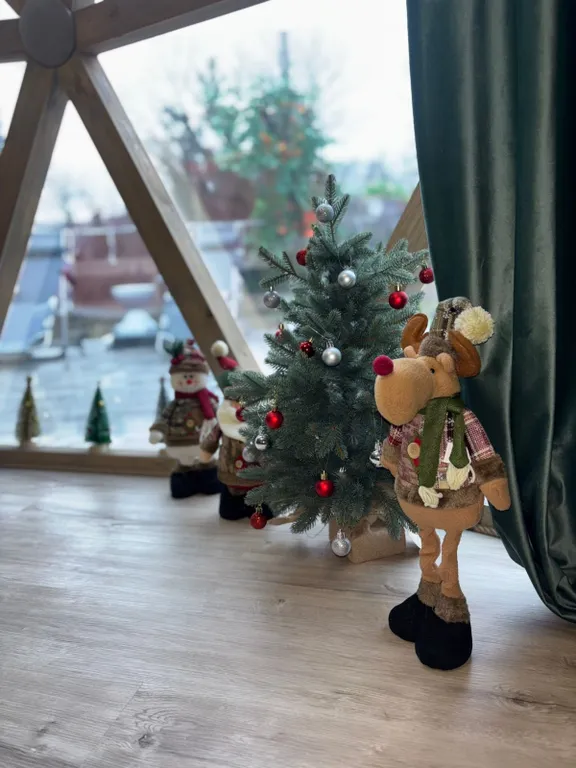 Уютная сфера на побережье