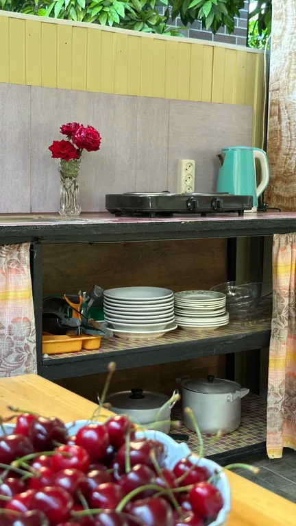 Домик люкс с санузлом