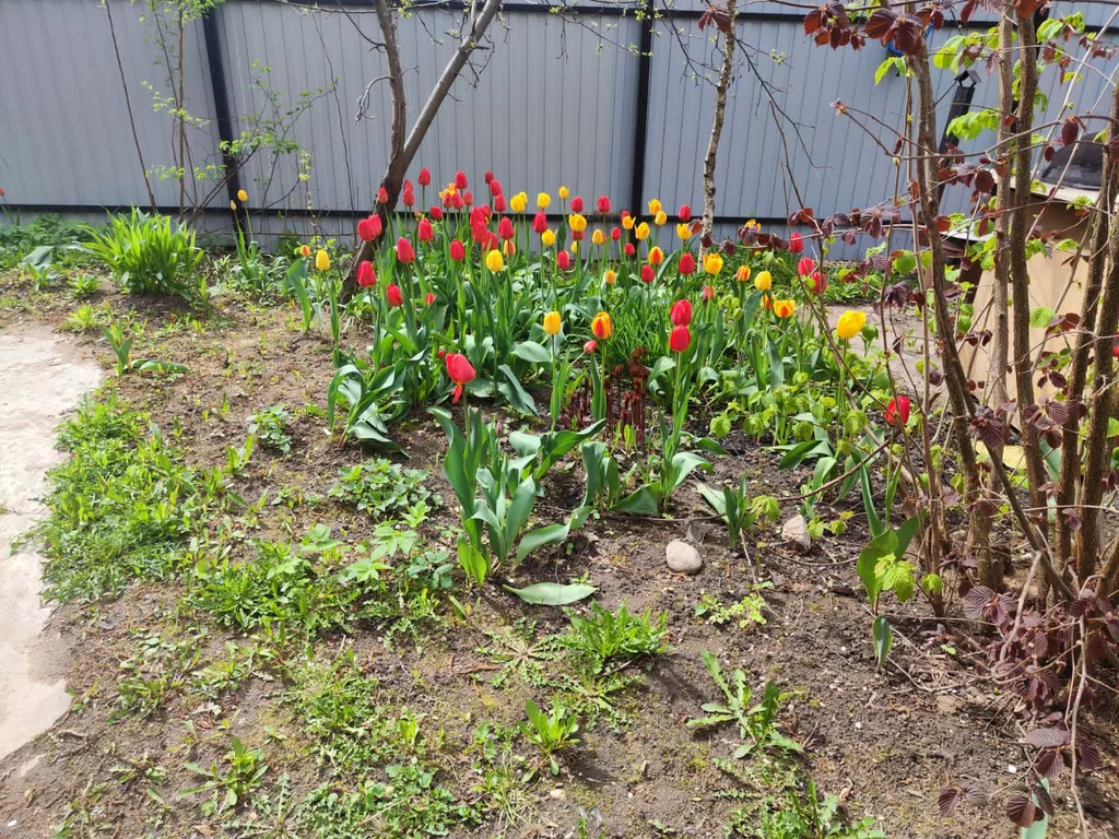 Дом в 15 км от МКАД по Щёлковскому шоссе