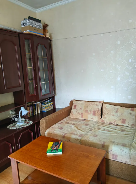 Однокомнатная квартира на Балтийской косе