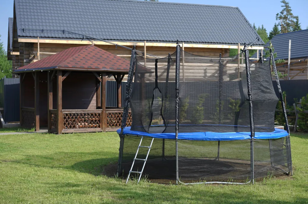 Лесная сова