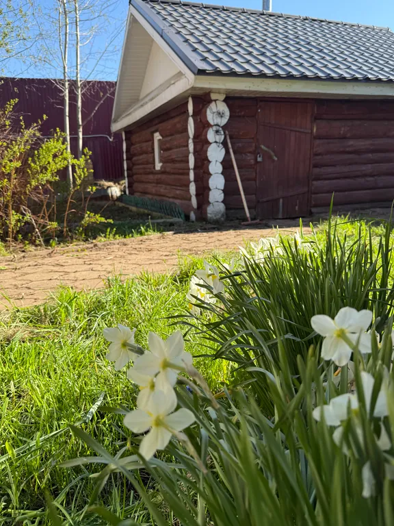 Уютный дом с баней для отдыха семьей и компанией