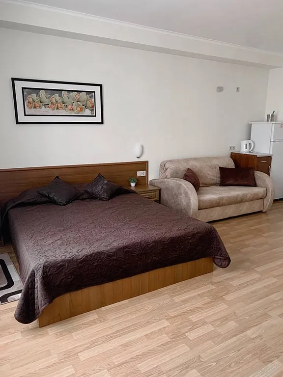 Номер Астерия