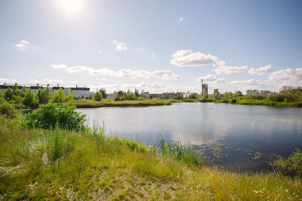 Уютная квартира в экологически чистом районе, рядом с шикарным озером