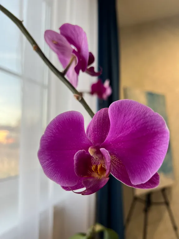 Дом в тихом спокойном месте