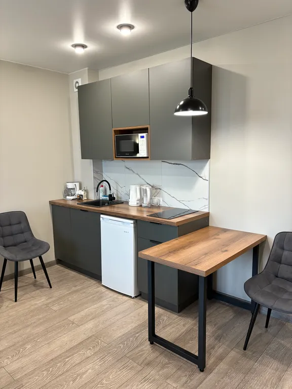 Апартаменты (Loft-studio)