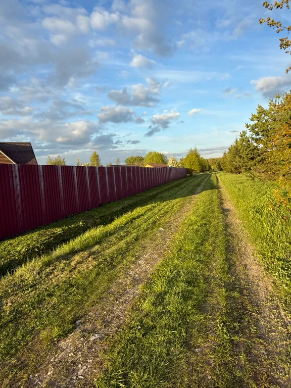 Petrushkа Просторы