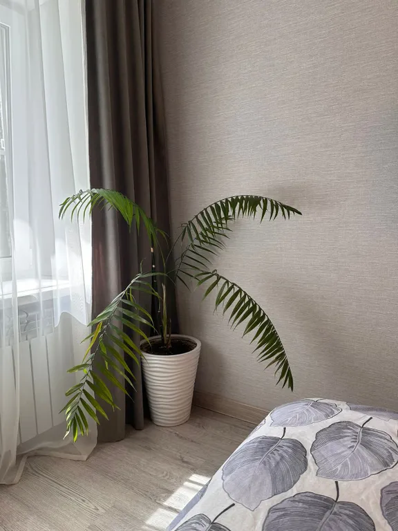 Уютная квартира в самом сердце Углича