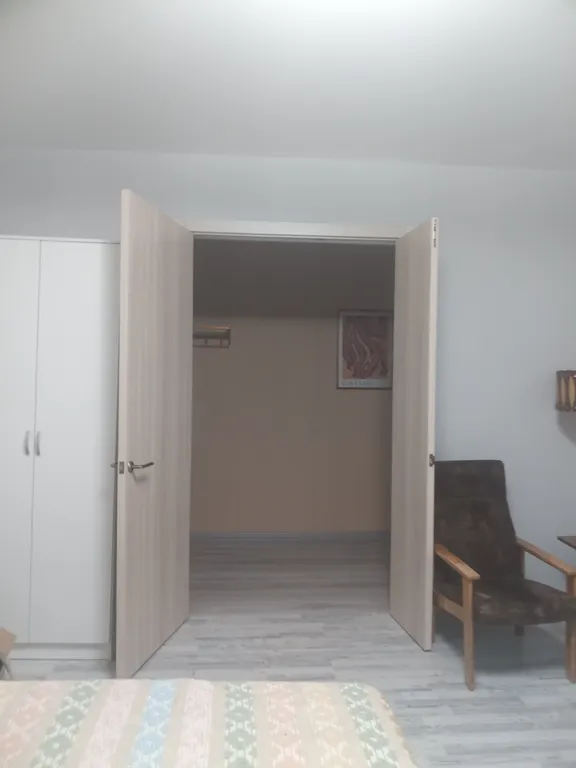 Уютная однокомнатная квартира