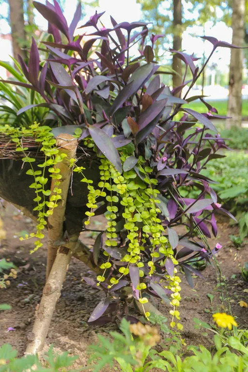 Квартира Уютная светлая квартира в центре — Пушкин