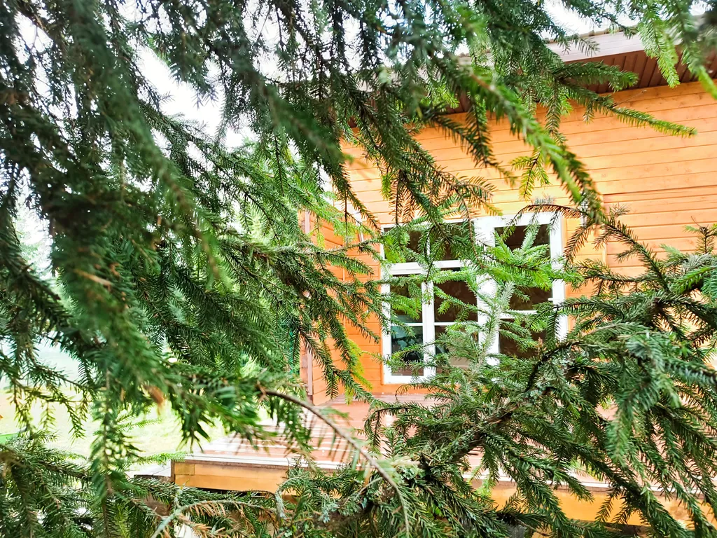 Шикарный новый дом в стиле Loft