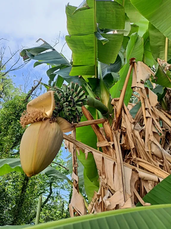 Квартира Квартира Семейный номер на 2 этаже — Лазаревское