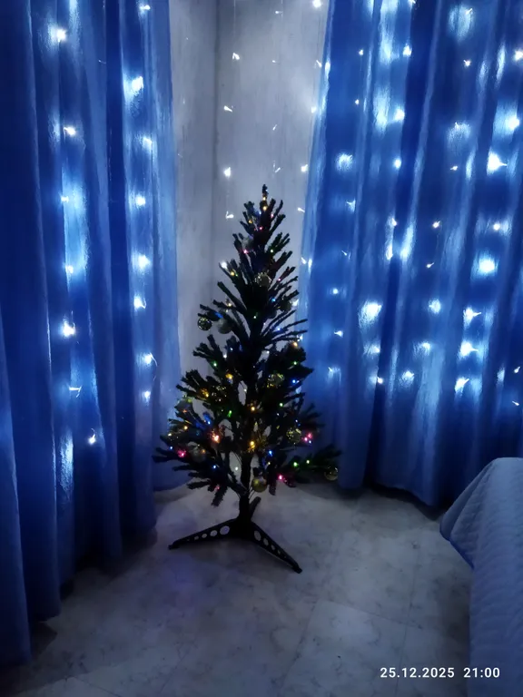 Ракушка Казантипа