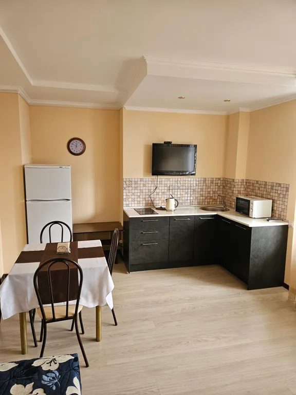 Апартамент в апарт-отеле Афалина