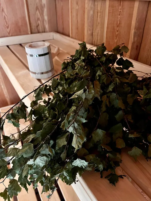 Коттедж Эко-Дом-баня в карельской деревне: ваш уголок покоя на берегу озера — Крошнозеро