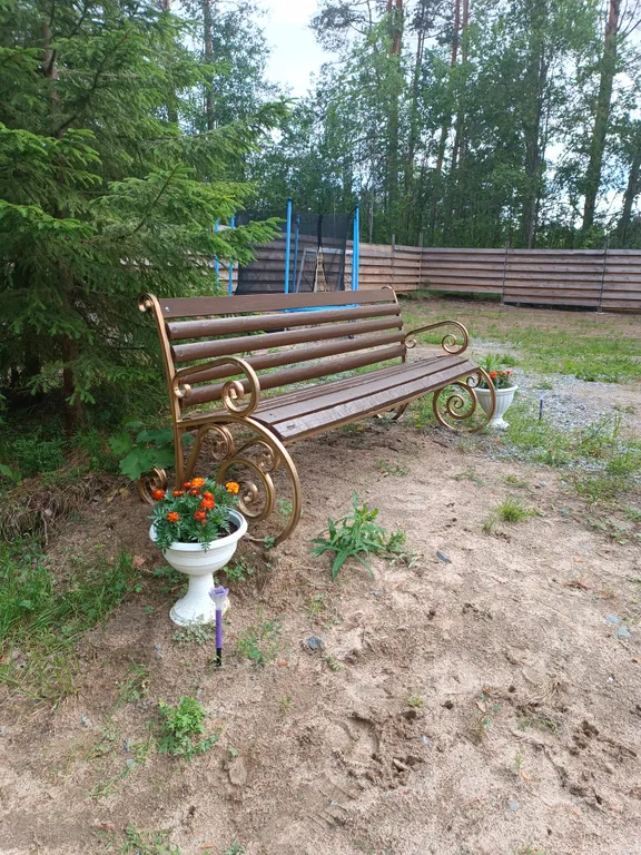 Уютный гостевой дом в лесном просторе