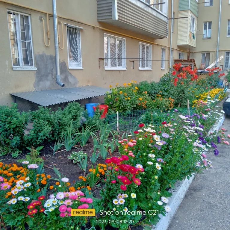 Уютная квартира