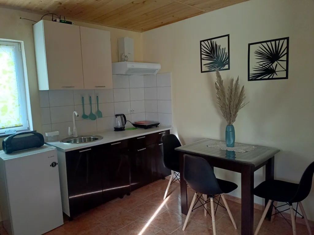 Номер с кухней и террасой, трёхместный