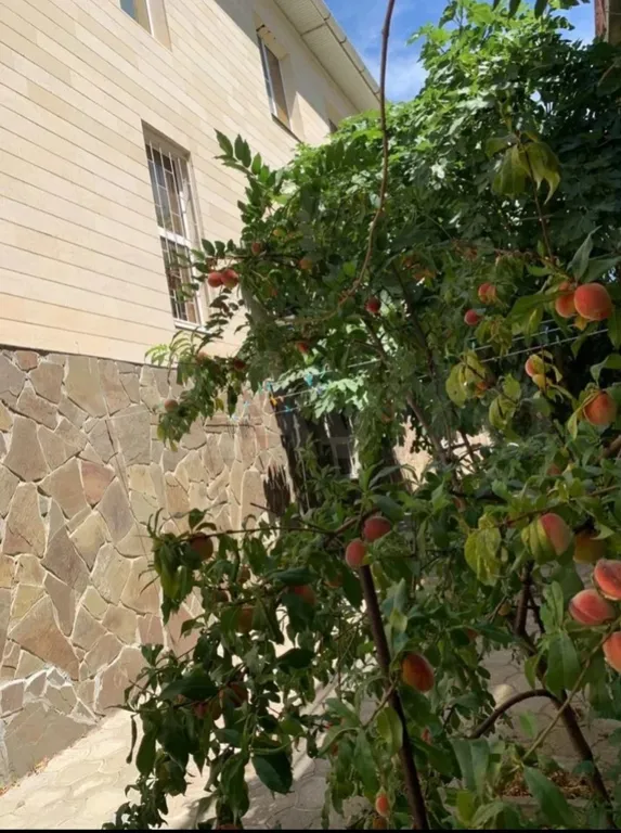 Комната с видом на море