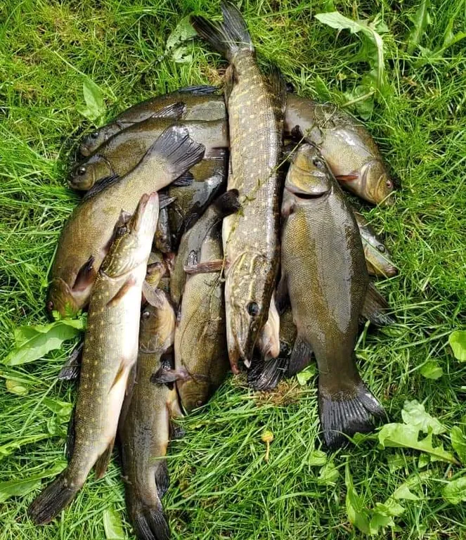 Дом у озера Мстижа