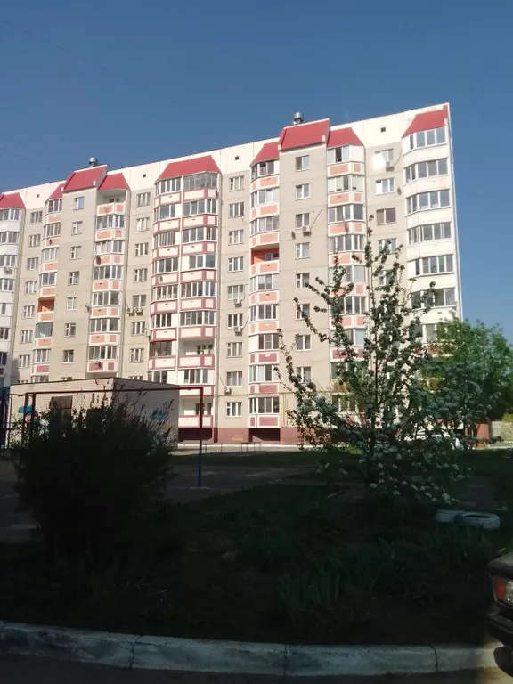 Квартира у автовокзала, Мегагринн