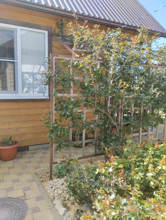 Тихое, спокойное место