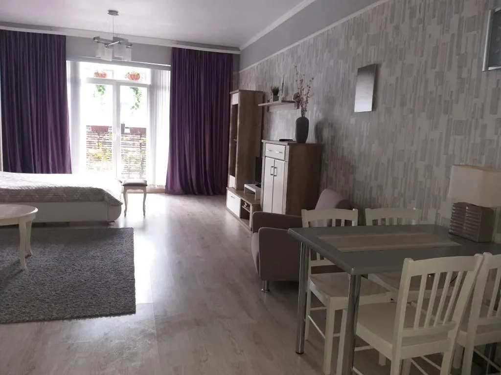 Квартира 1-комнатная Квартира — Светлогорск