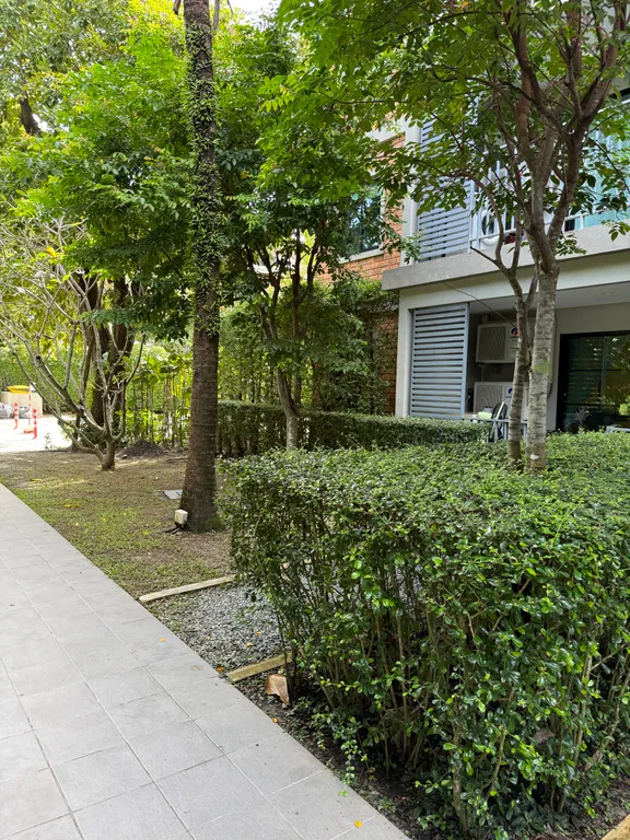 1-спальный апартамент у пляжа Най Янг